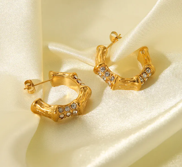 Stone Earring