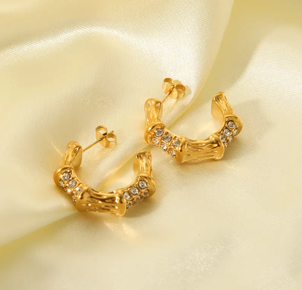 Stone Earring