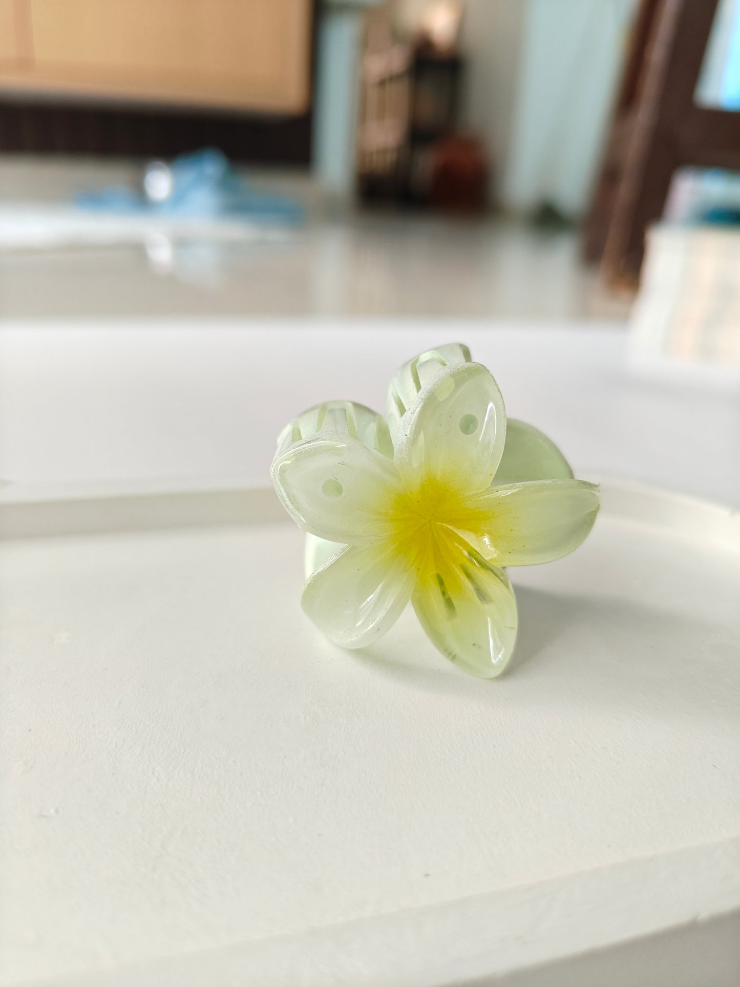Hawaii Mini Daisy Claw