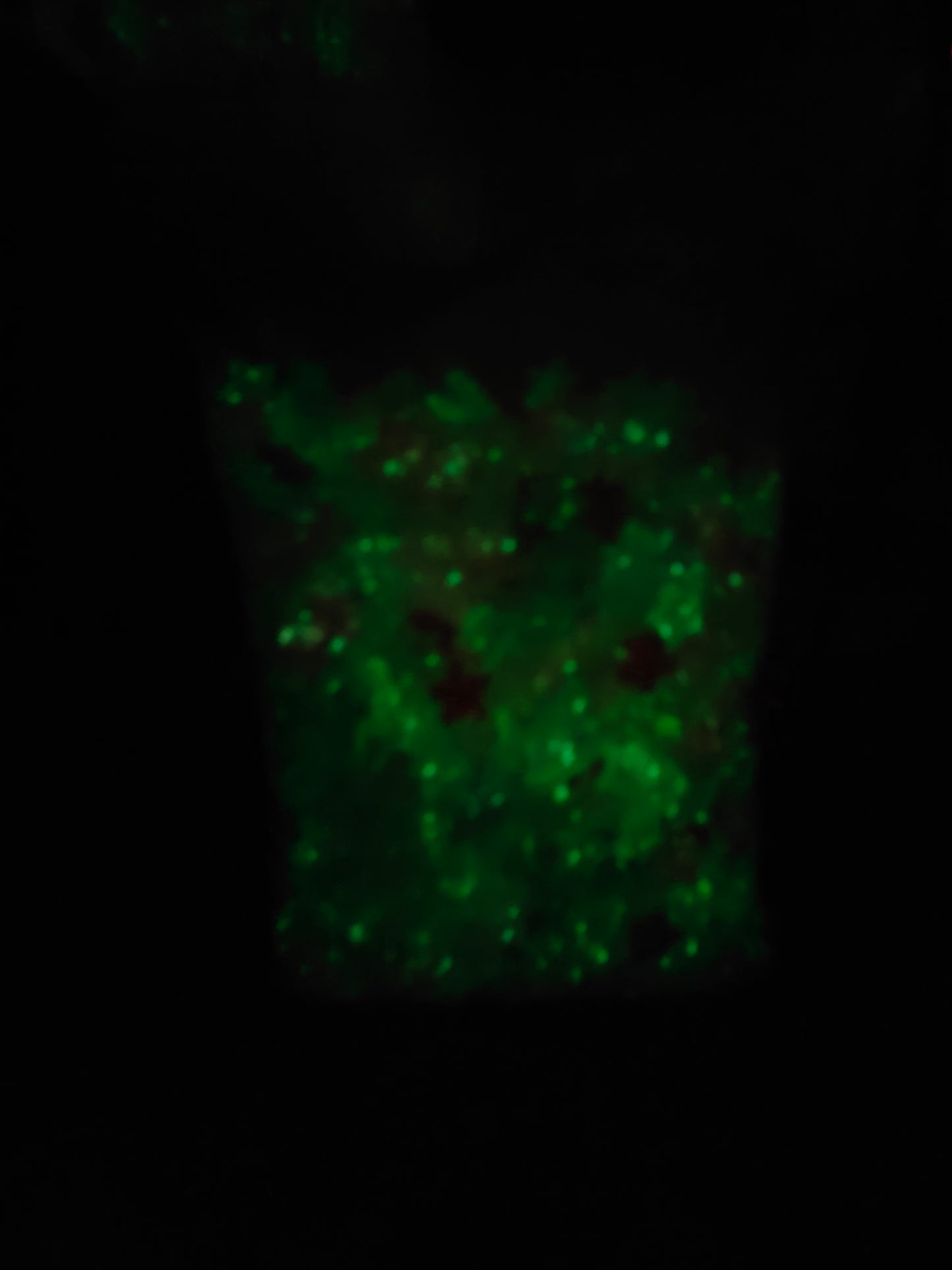 Glow In Dark Heart Beads 20g (45-50 pieces)