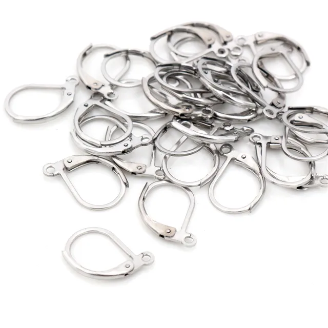 French Earring Hooks - Stainless Steel 1 Pair