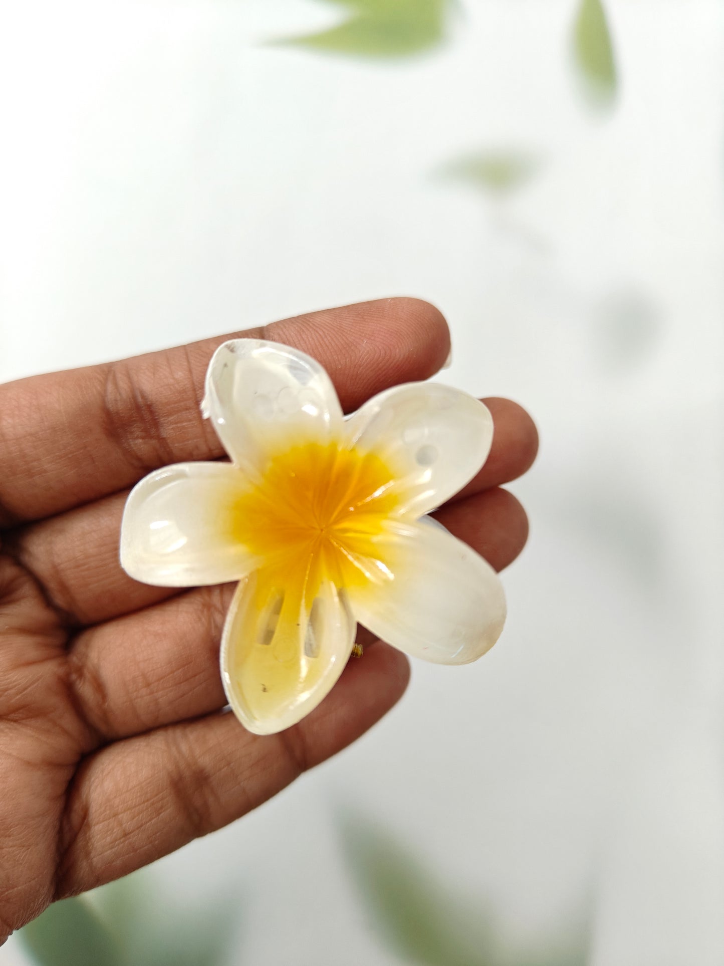 Hawaii Mini Daisy Claw