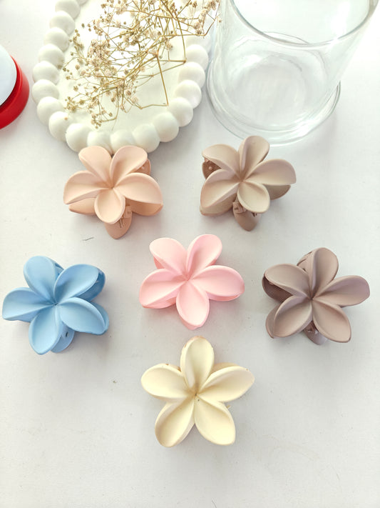 Pastel Daisy Claw - Mid Size