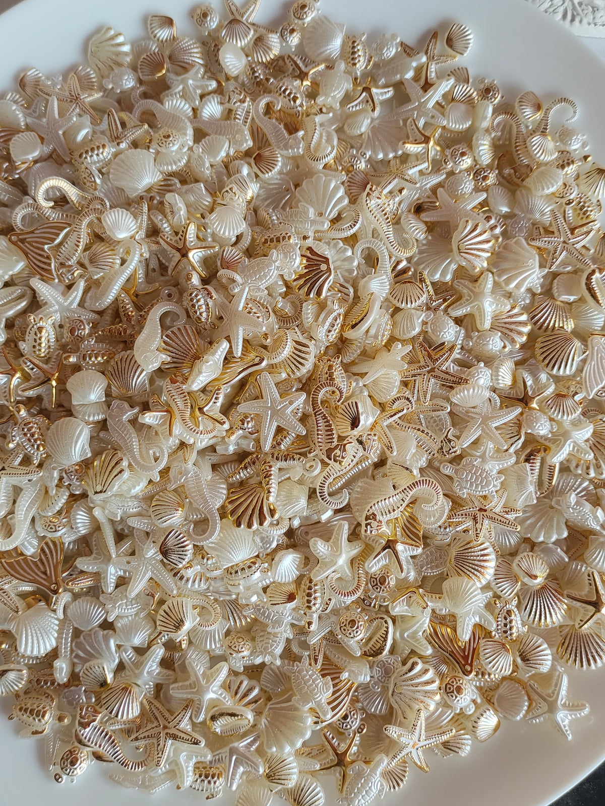 Ocean Charms 20g