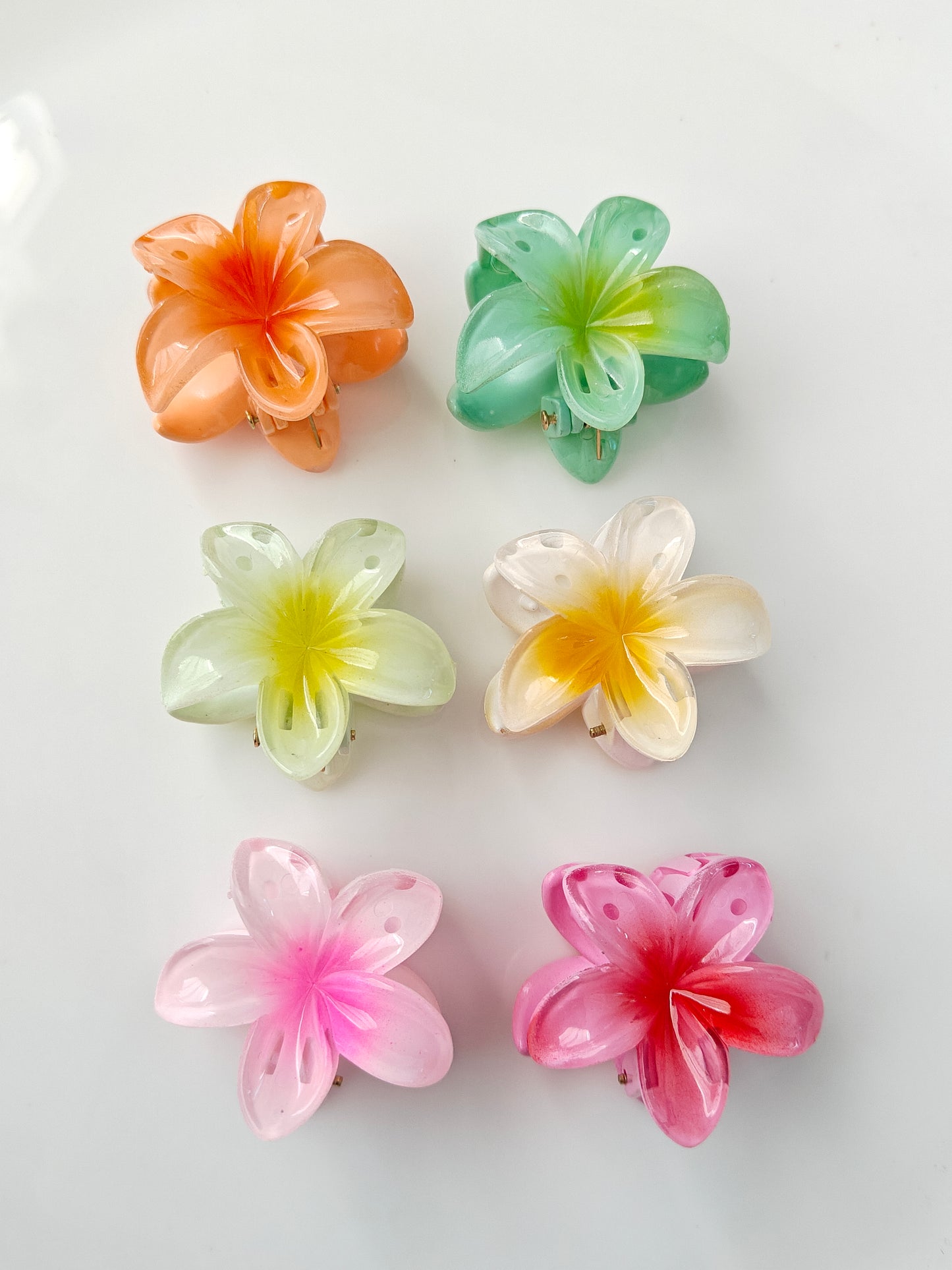 Hawaii Mini Daisy Claw