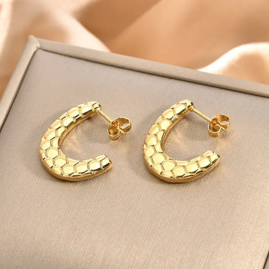 Snake Curvy Hoops