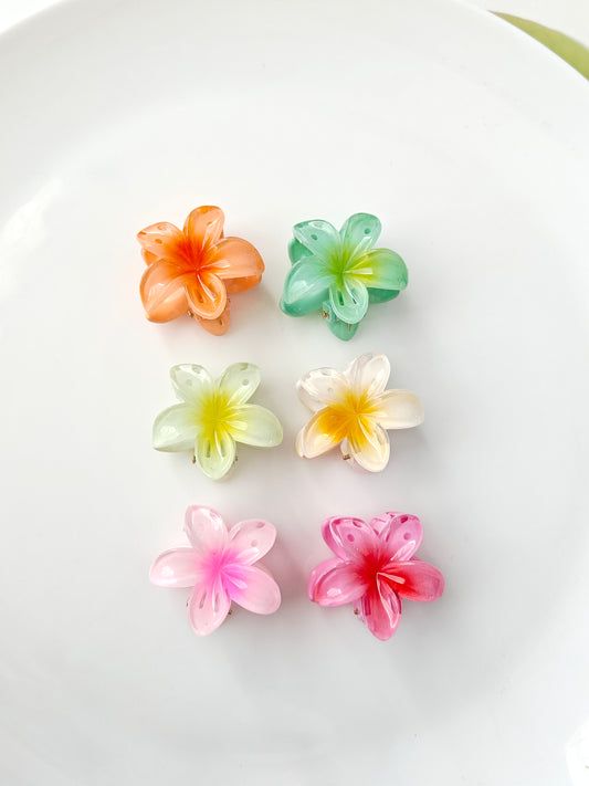 Hawaii Mini Daisy Claw